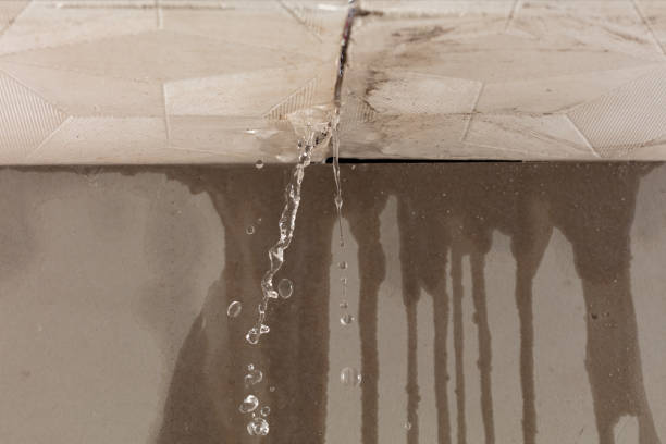 Professional Burst Pipe Cleanup technician working in Willard, MO